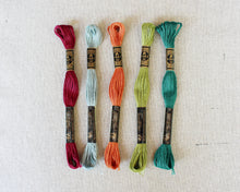 Load image into Gallery viewer, Bejeweled Color Story