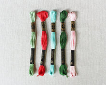 Load image into Gallery viewer, Cozy Christmas Color Story