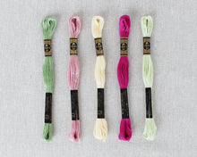 Load image into Gallery viewer, Delighted Color Story