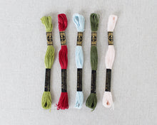 Load image into Gallery viewer, Heirloom Color Story