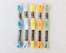 Load image into Gallery viewer, Hello, Sunshine Color Story