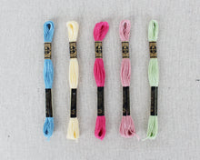 Load image into Gallery viewer, New Day Color Story