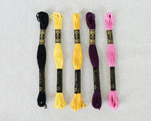 Load image into Gallery viewer, Spooky Season Color Story