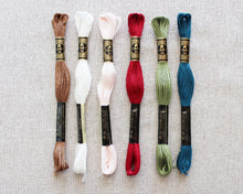 Load image into Gallery viewer, Candy Cane Color Story