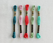 Load image into Gallery viewer, Cookie Party Color Story