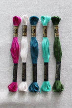 Load image into Gallery viewer, Elegance Color Story