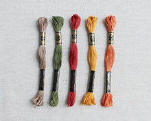 Load image into Gallery viewer, Hayride Color Story