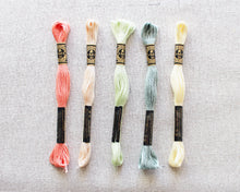 Load image into Gallery viewer, Misty Morning Color Story