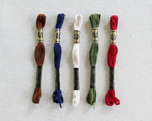 Load image into Gallery viewer, Rustic Cabin Color Story