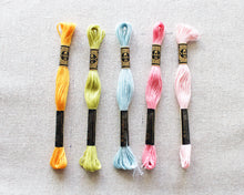 Load image into Gallery viewer, Spring Fling Color Story