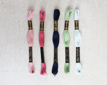 Load image into Gallery viewer, Country Rose Color Story
